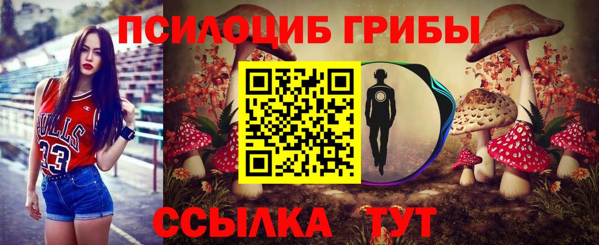 Псилоцибиновые грибы мицелий Калуга